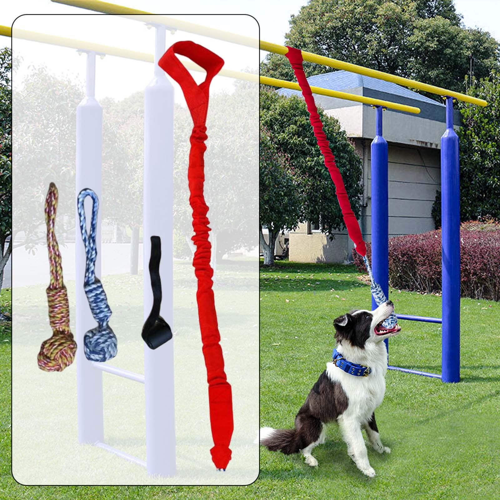 Dog Outdoor Hanging Toy Teething Chew Toy Door Hanging Tug Toy Tug of War Toy for Small Large Dogs Indoor Exercise Red