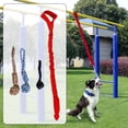 thumbnail image 4 of Perro al aire libre Bungee Colgando Juguete Puerta Colgando Tug Juguete Tether Rojo Yuyangstore Tire de la bola de la cuerda, 4 of 8