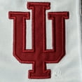 thumbnail image 2 of Men's Colosseum Charcoal Indiana Hoosiers Turnover Shorts, 2 of 2