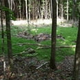 thumbnail image 2 of Walk N Toss 2,5lbs par Rack Stacker, 2 of 11