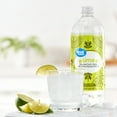 Great Value Lime Tonic Water, 33.8 fl oz