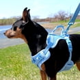 thumbnail image 5 of Vibrant Life Comfort Control Pet Harness, Soft Blue, Extra Large, 5 of 9