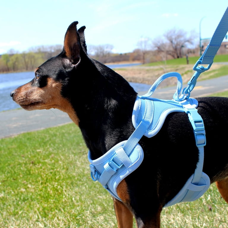Soft Neoprene Comfort Control Dog Harness, Extra Large photo 5