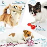 New Puppy Starter Kit