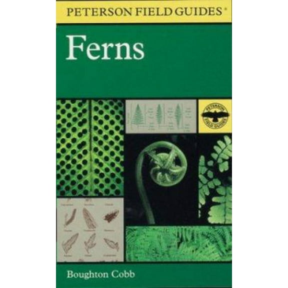 Pre-Owned A Field Guide to Ferns : And Their Related Families : Northeastern and Central North America (Peterson Field Guides) (Paperback) 0395975123 9780395975121