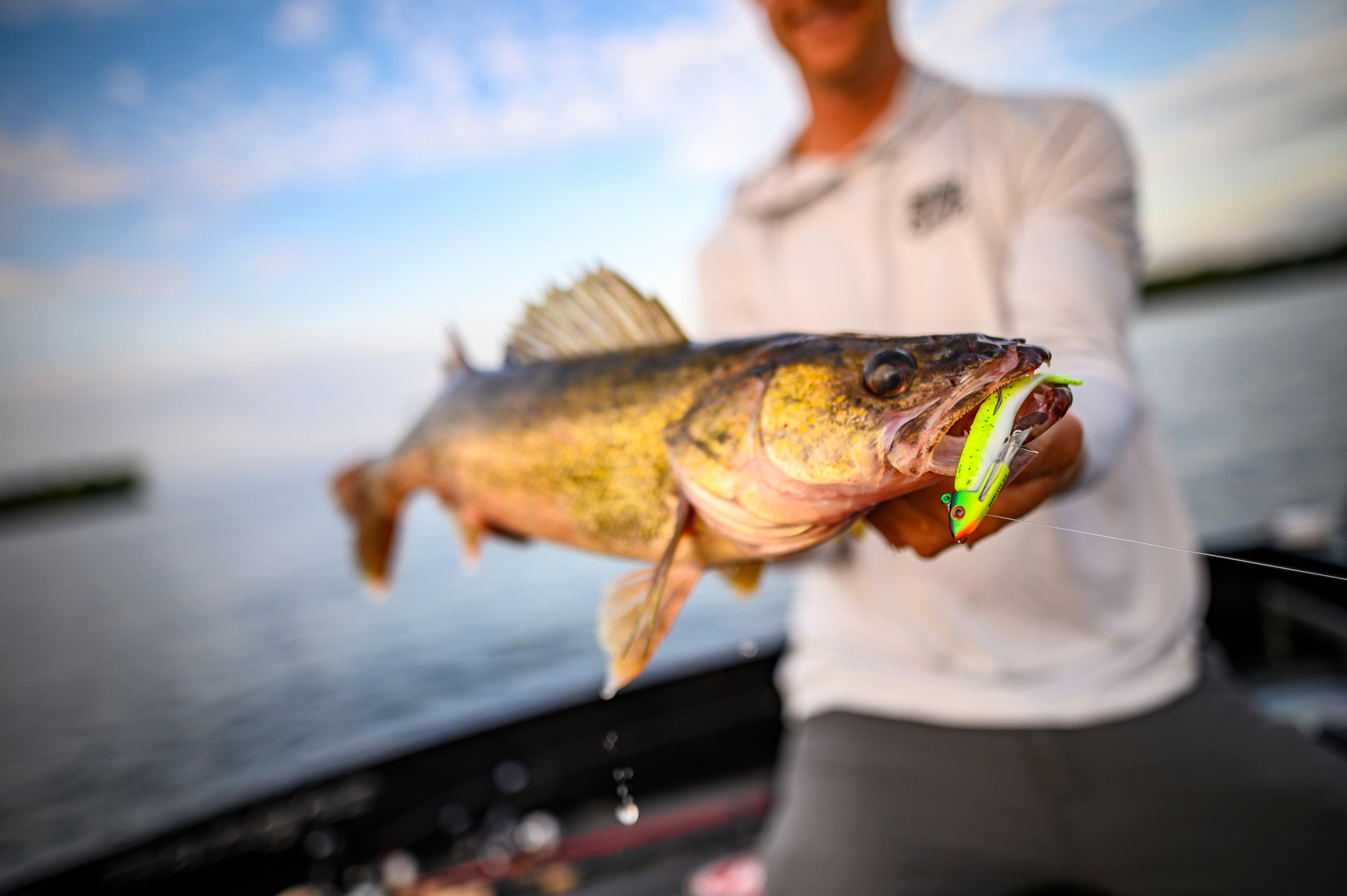 (2 pack) Gulp!® Minnow