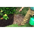 EnviroColor BF0032 851612002018 2,400 MMF7 Sq. Ft. Black Forest Mulch