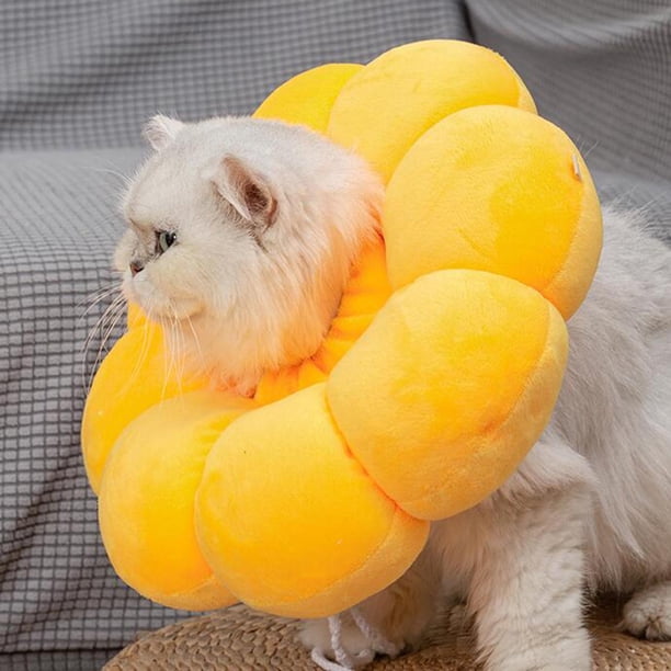 Collar de ,Cono de collar de recuperación de mascotas para perros pequeños gatos,Collar de cuello de de protección ajustable suave,Resistente al agua Cómodo Evita Amarillo L Salvador Collar de gatito