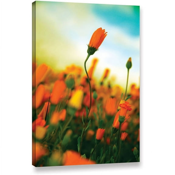 ArtWall Elena Ray "African Daisy" Gallery-wrapped Canvas