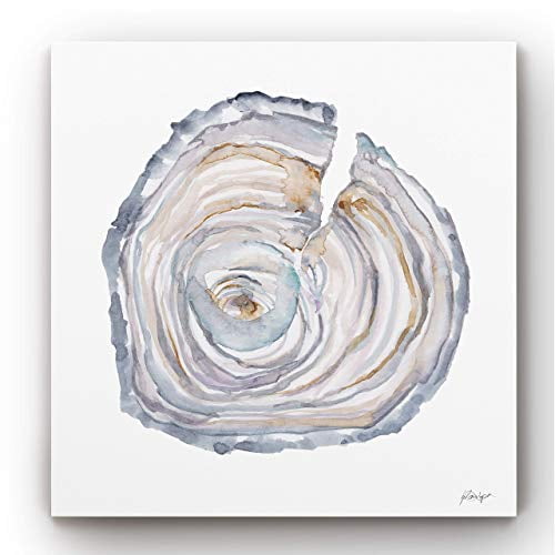 Renditions Gallery Abstract Canvas Print Painting Wall Art Unframed for Home Décor-Watercolor Tree Ring II, 24X24