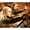 12x16 inch, variant on ZZHHJY Hobbit with Elf and Bow Diamond Painting, 5D Full Diamond Diamond Art Set, DIY Gem Painting Set for Room Decoration Bedroom Decoration Gift