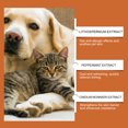 thumbnail image 7 of Pet Anti Itch Anti Allergy Cream Skin Soothing Recovery Care Relieves Discomfort For Cats And Dogs, Herbal Nourishing Formula With Natural Ingredients, 100Ml Jar For Daily Use, 7 of 7