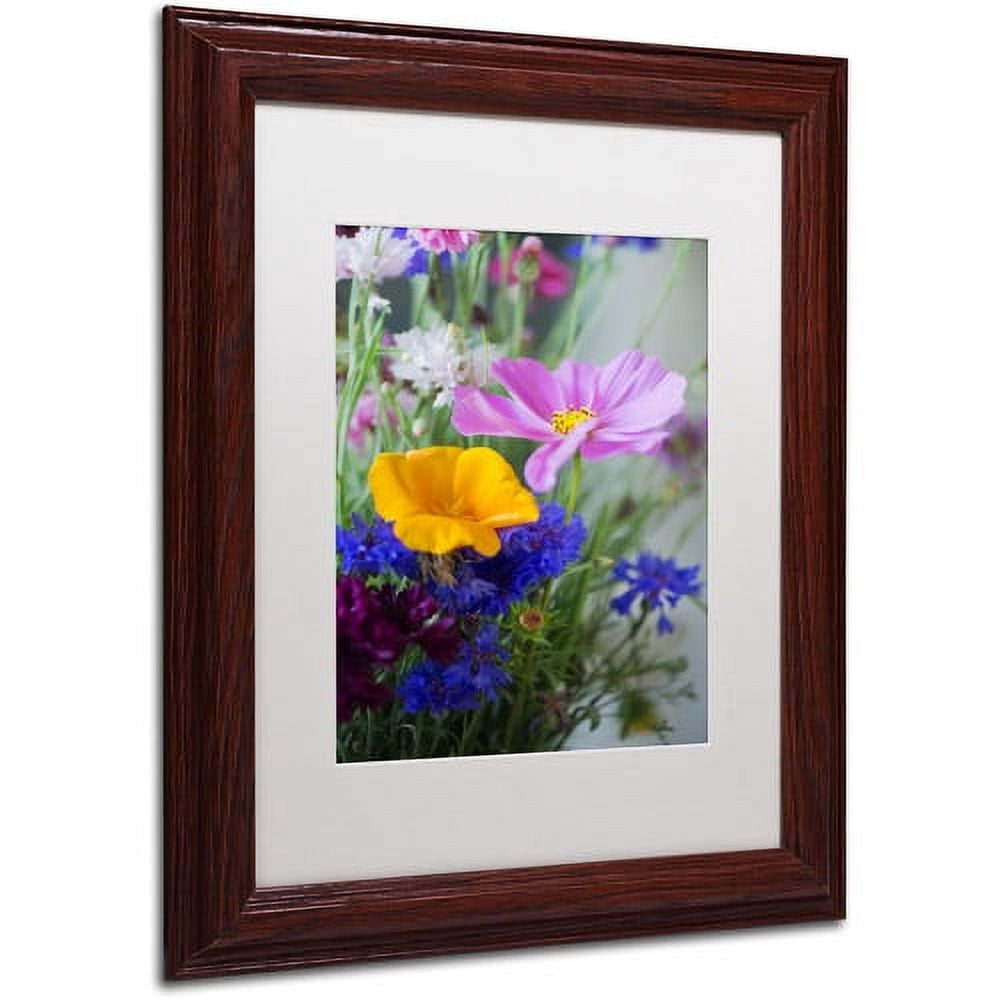 Trademark Fine Art "Cosmo Duo" Canvas Art by Philippe Sainte-Laudy, White Matte, Wood Frame
