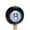 Black 8-Ball, variant on BambooMN Billiard Pool Cocktail Appetizer Ball End Picks - 3.9" (10cm) - Eight Ball - 100 Pieces