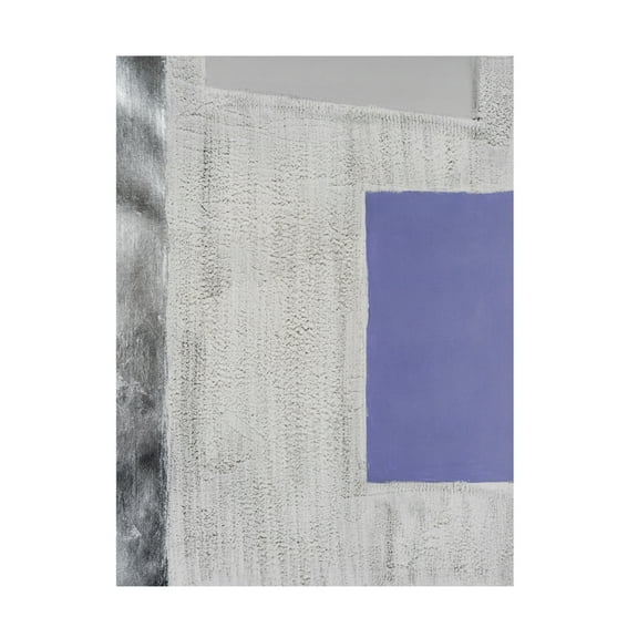 Trademark Fine Art Michael Willett Quadratic Layout III Canvas Wall Art