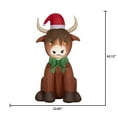 thumbnail image 3 of Vache Airblown-Highlander SM, 3 of 6