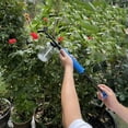 thumbnail image 5 of Adjustable Plant Powder Sprayer with Telescoping Metal Rod & Leakproof Seal for Vertical Gardening And Tight Spaces, 5 of 9