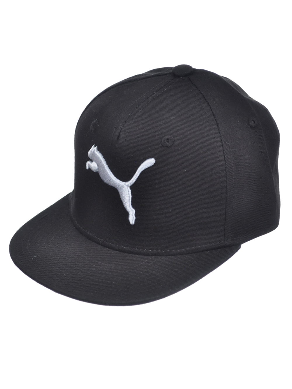 Puma \