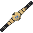 thumbnail image 2 of Well Perform BE Black Belt Adult Size - Title Belt Replica - 2mm Leather Straps - Fan Gift, 2 of 5