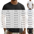 thumbnail image 6 of Men's Stretchy Nylon Spandex Running T-Shirt, Short Sleeve Crew Neck Striped Gym Top, Gray,Size S, 6 of 9