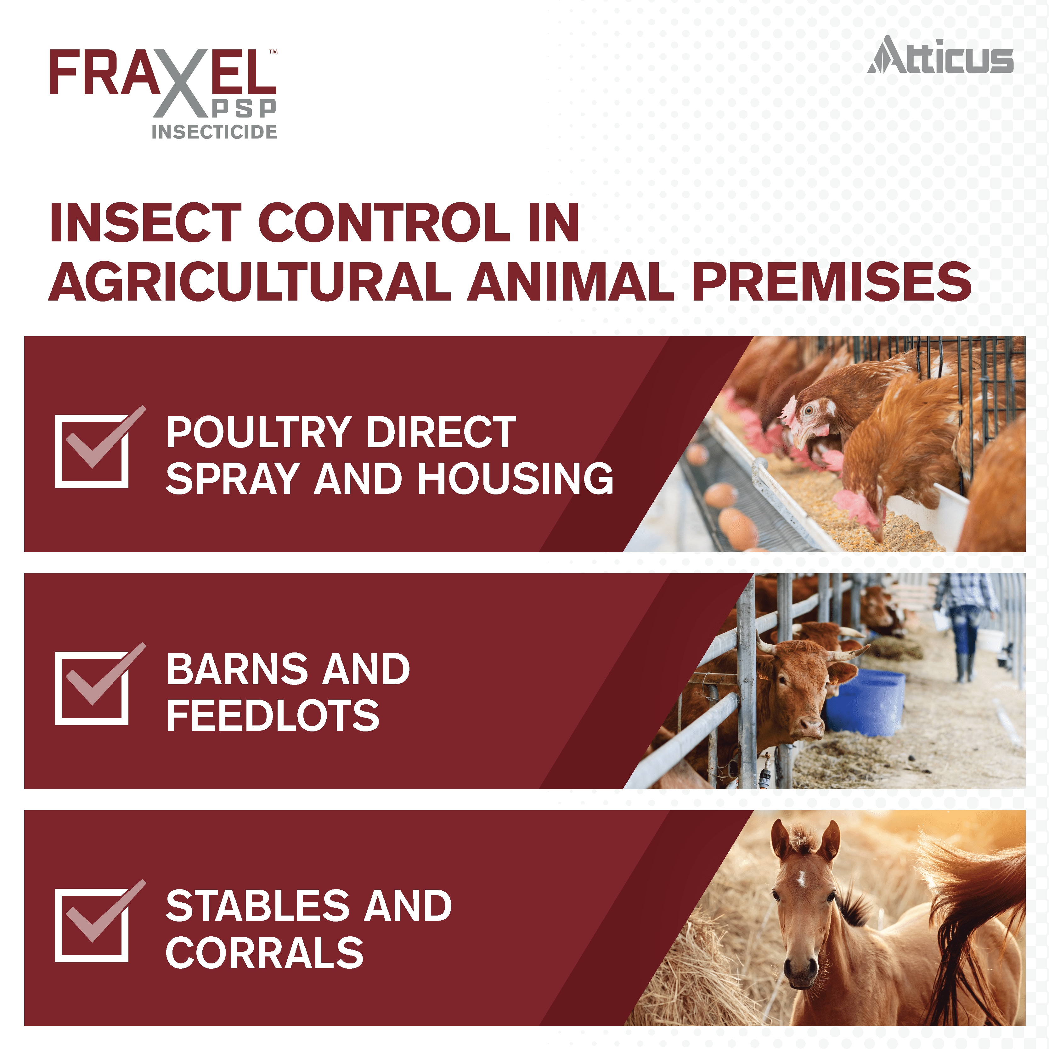 Fraxel PSP Insecticide for Poultry (8-oz) Concentrate - (Compare to Elector PSP) - Kill Mites, Lice, Flies, Beetles In & Around Chicken Coops & Other Livestock Areas - by Atticus