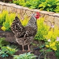 Universal Light For Yard Metal Name Signs For Solar Lighted Address universal-light-for-yard-metal-name-signs-for-solar-lighted-address