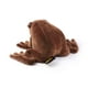 thumbnail image 2 of Peluche The Noble Collection Harry Potter Chocolate Frog, 2 of 7