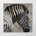 thumbnail image 3 of Dana Underdahl 26x26 White Modern Wood Framed Wall Art Titled - Sarari Zebra VI, 3 of 5