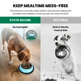 thumbnail image 3 of Iconic Pet 2-Pack Color Splash Stripe Non-Skid Pet Bowl, For Dog or Cat, Blue, 64 Oz, 8 Cup, 3 of 11