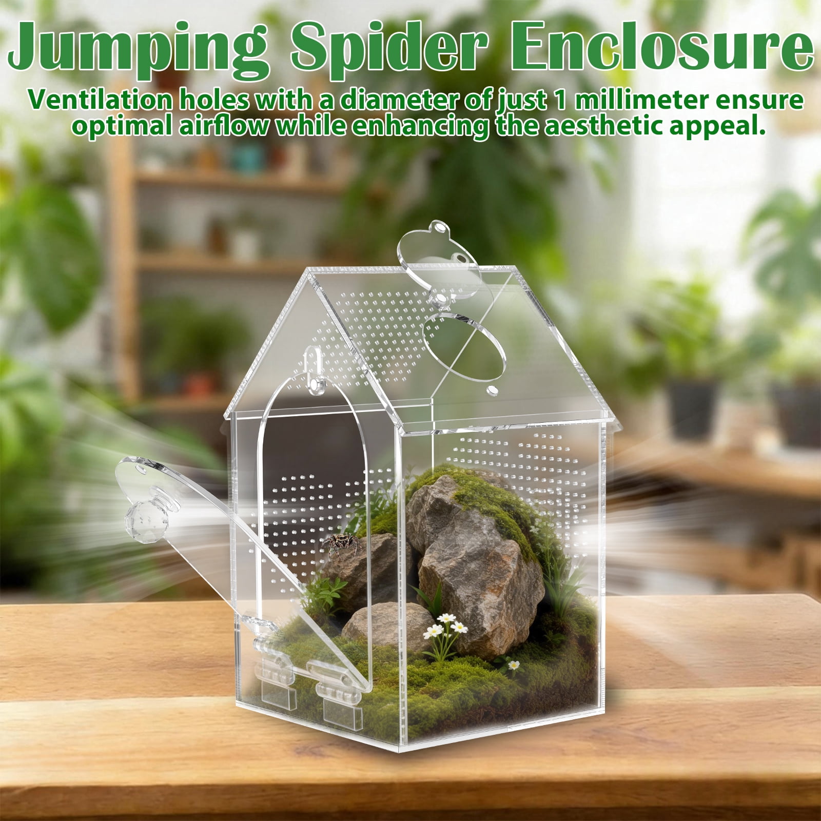 Ikoopy Jumping Spider Enclosure Warp Proof Seamless Acrylic Tarantula Terrarium Front Opening Spider Habitat with Feeding Port for Praying Mantis Hermit Crab Snail Micro Reptile (4.72x4.72x7.87 inch)