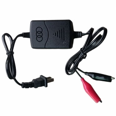 EcoFlow 800W 3-in-1 Car Alternator Charger For Power Station – Fast DC-DC 12V