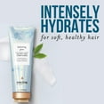 thumbnail image 3 of Pantene Shampoo and Conditioner Hydrating Glow, Sulfate-free with Baobab Essence, 9.6 fl oz+ 8 fl oz, 3 of 8