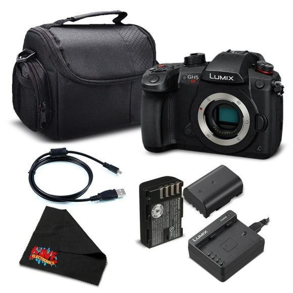 Panasonic Lumix DC-GH5S Mirrorless Micro Four Thirds Digital Camera DC-GH5S - Bronze level Bundle