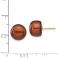 thumbnail image 3 of Primal Gold 14 Karat Yellow Gold 11-12mm Coffee Button Freshwater Cultured Pearl Stud Post Earrings, 3 of 5