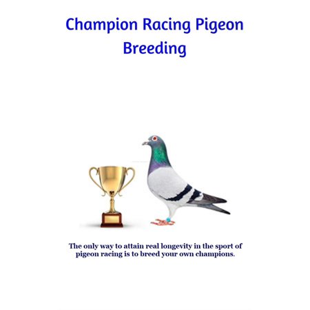 Champion Racing Pigeon Breeding - eBook (Best Breed Of Racing Pigeons)