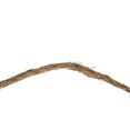 thumbnail image 5 of Creative Co-Op Scientific Botanicals Linen and Wood Scroll Wall Poster, Multicolor, 5 of 8