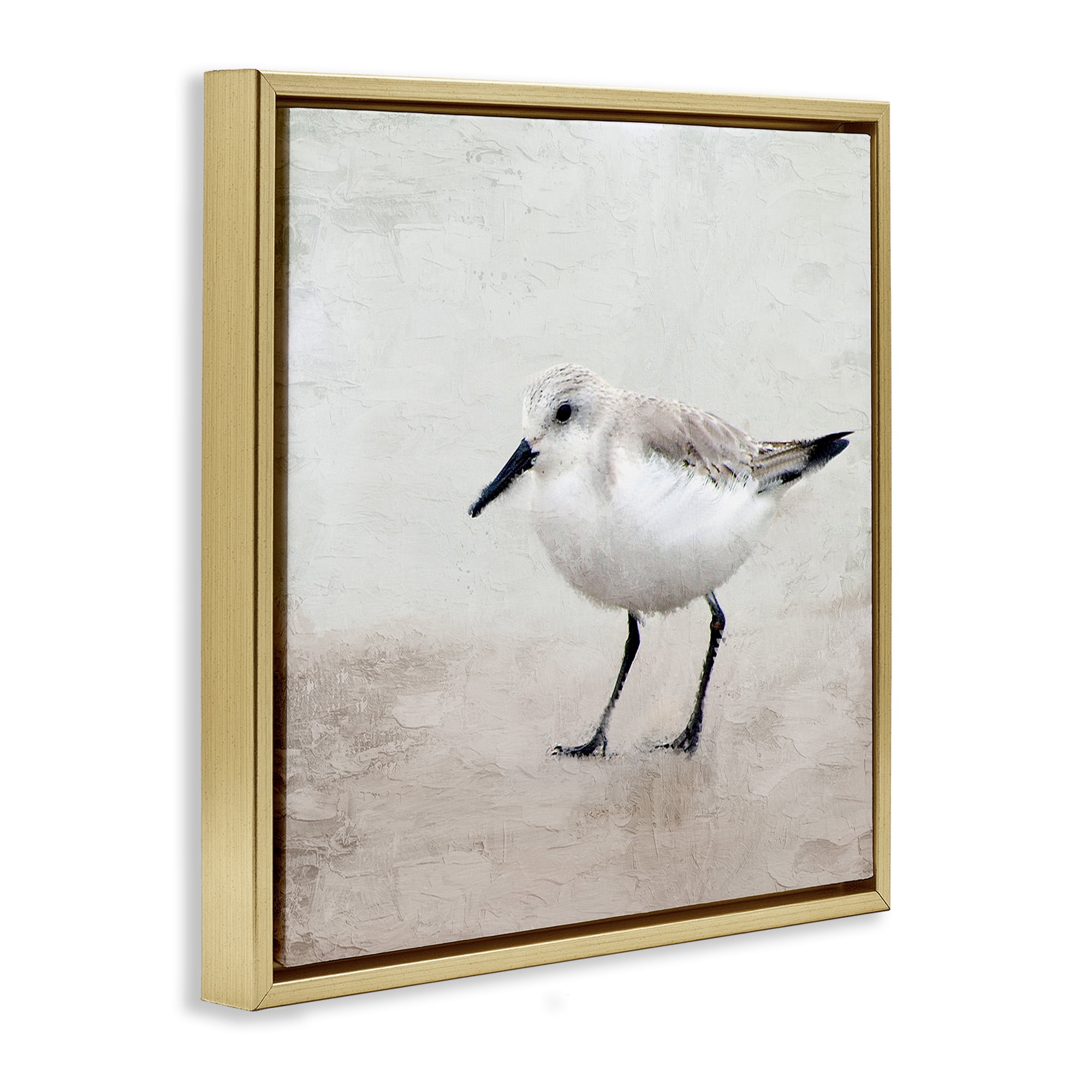 Stupell Industries Lone Sandpiper Bird Portrait Animals & Insects Painting Gold Floater Framed Canvas Art Print Wall Art, 25 x 25