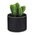 thumbnail image 1 of Bolsa de cultivo de vegetales/flores/plantas no tejidas gruesas de alta resistencia de un galón, 1 of 6