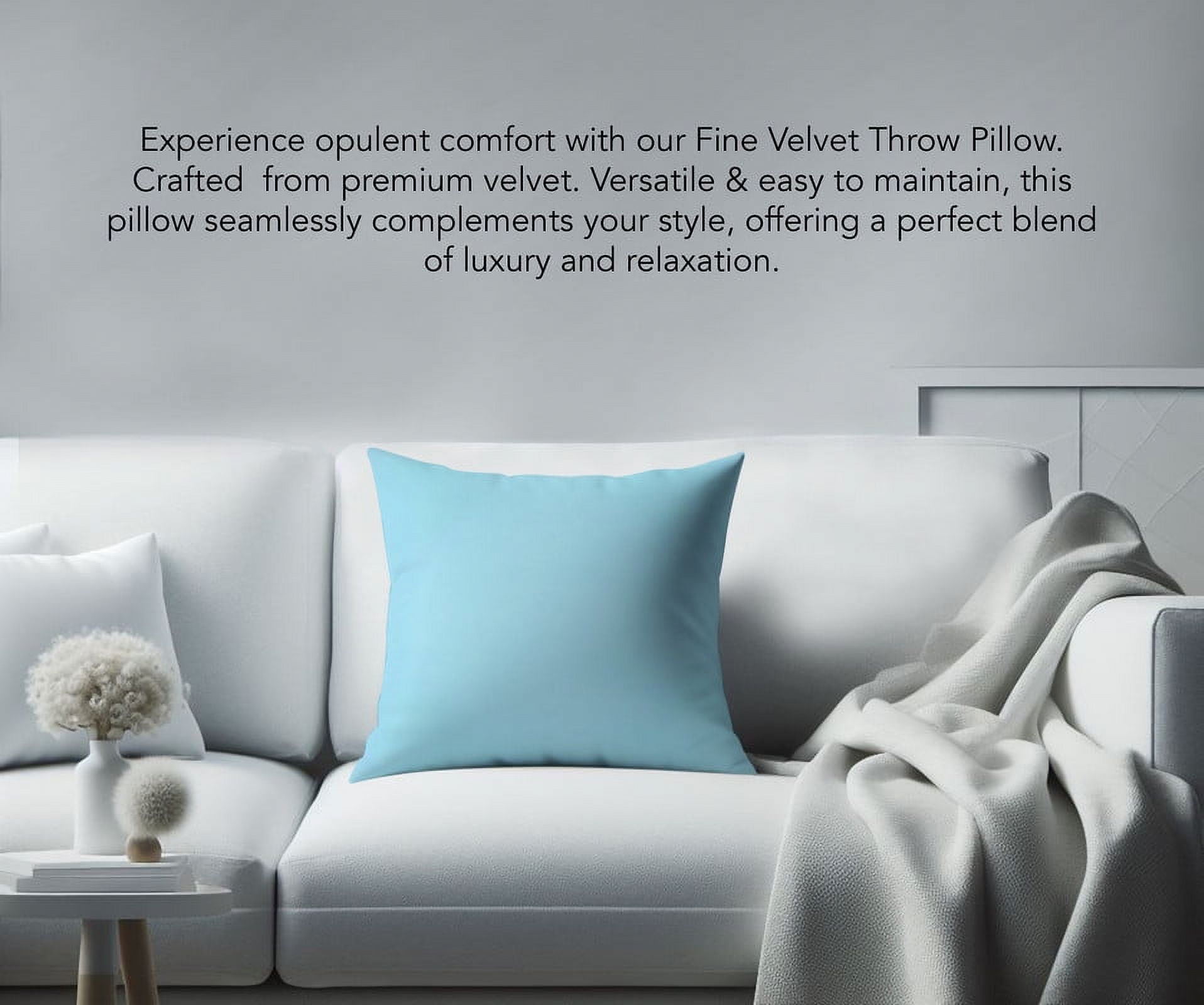 A1HC Hypoallergenic Down Alternative Decorative Throw Pillow, 20x20 in, Square, Pack of 1, Light Blue