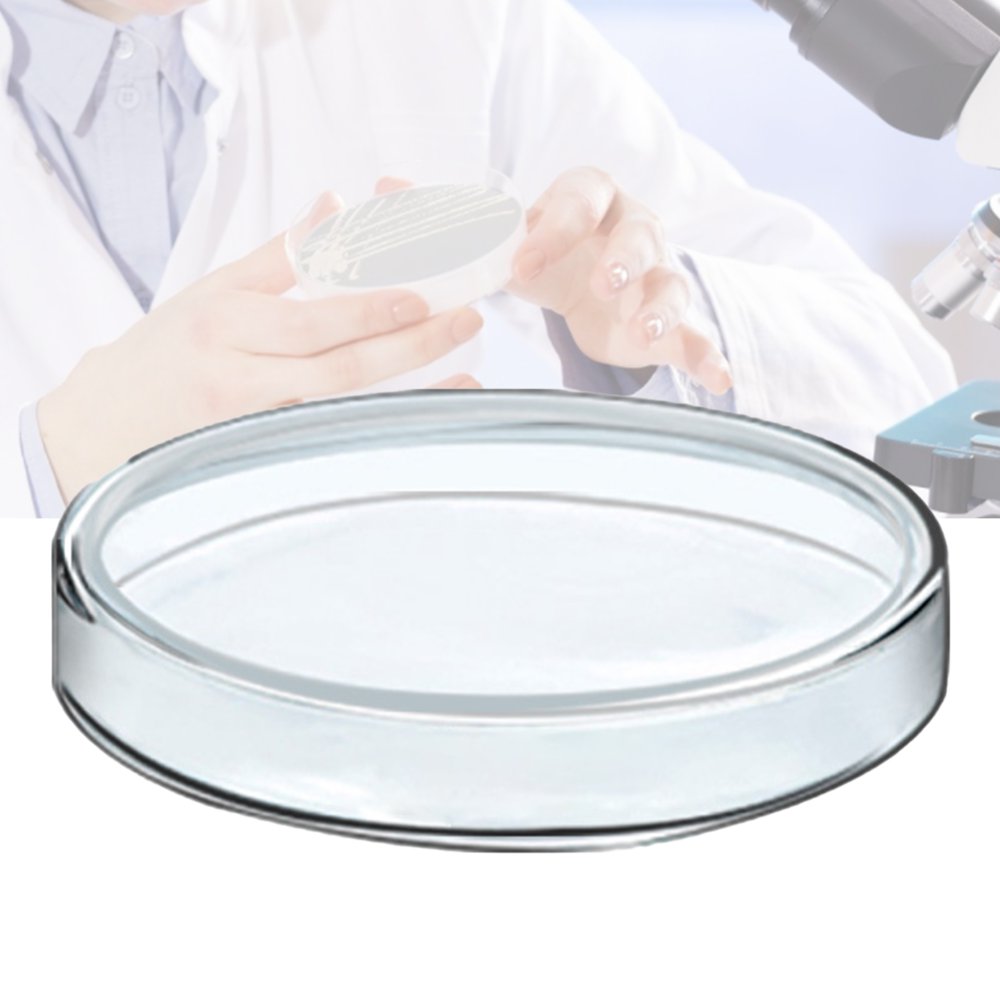 Windfall Glass Petri Dish, 60100ml Culture Dish Transparent Heat