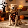 thumbnail image 5 of Halloween Dog Clothes Dog Halloween Shirts Tank Tops with Claw Spider Net Pumpkin Patterns Pet Halloween Costumes Puppy Shirt Vest for Small Medium Dogs, 5 of 7