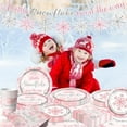 thumbnail image 3 of Winter Snowflake Plates and Napkins, Pink Winter Wonderland Baby Shower Decorations, A Little Snowflake  On the Way Baby Shower Paper Plates Napkins for Winter Onederland Party Supplies Serve20, 3 of 6