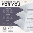 thumbnail image 4 of Lincove  Signature Hutterite Canadian Down Pillow - 800 fill power, Made in Canada Soft - King - Set of 2, 4 of 5