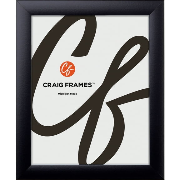 Craig Frames 17x22 Picture Frame - Black Style 1"WB3 1 Inch MDF Moulding - Wall Display Frame for Art, Posters, or Photos