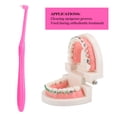 thumbnail image 3 of 3pcs Orthodontic Toothbrush Small Head Teeth Braces Dental Cleaning ToothbrushRose Red, 3 of 5