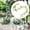 White, variant on Tachiuwa Artificial Lemon Cherry Blossom Garland Front Door Wreath Easy to Use Vines Garland for Farmhouse Home Balcony Indoor Outdoor 180cm