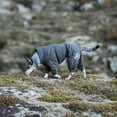 thumbnail image 3 of Hurtta Extreme Overall, Dog Snowsuit, BlackBerry, 12S, 3 of 4