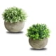 thumbnail image 4 of Bonsái de planta simulada, 2 piezas de planta simulada en maceta, decoración de escritorio, bonsái simulado magistralmente creado, 4 of 9