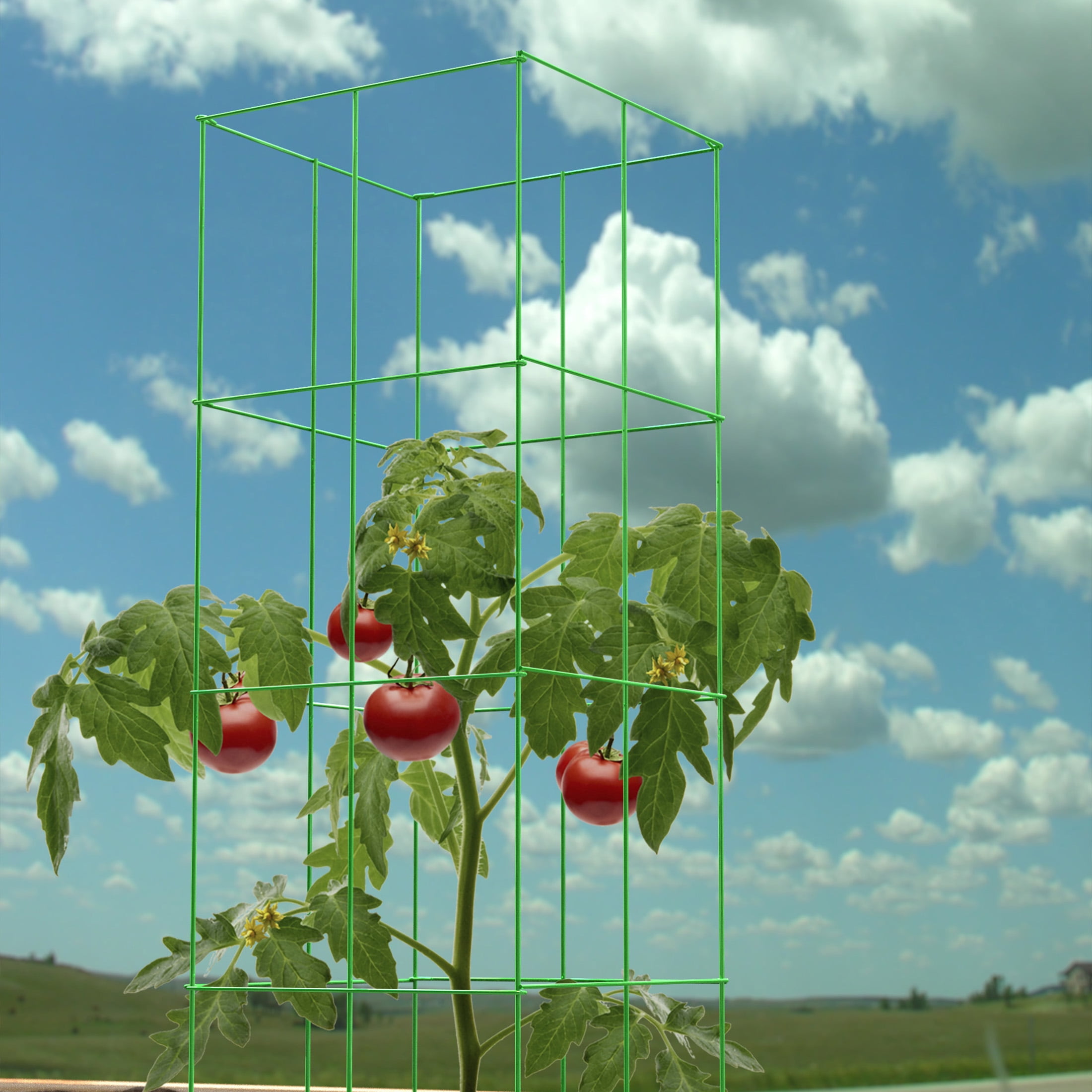(2 pack) Panacea 47-in 4-Panel Heavy Duty Powder Coated Steel Tomato Tower Light Green Plant Cage