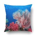 thumbnail image 1 of Funda de almohada ABPHQTO Buceo Coral Azul 50x50 cm, 1 of 1